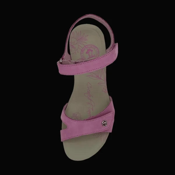 Best Sale Panama Jack Damensandalette pink/altrosa/malve