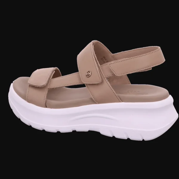 Shop Panama Jack Damensandalette sportiv beige