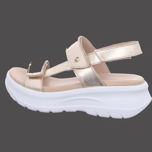 Outlet Panama Jack Damensandalette sportiv gold