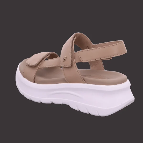 Shop Panama Jack Damensandalette sportiv beige